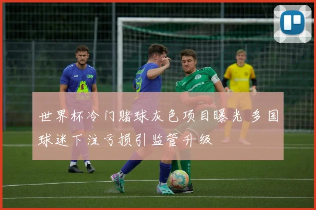 世界杯冷门赌球灰色项目曝光 多国球迷下注亏损引监管升级