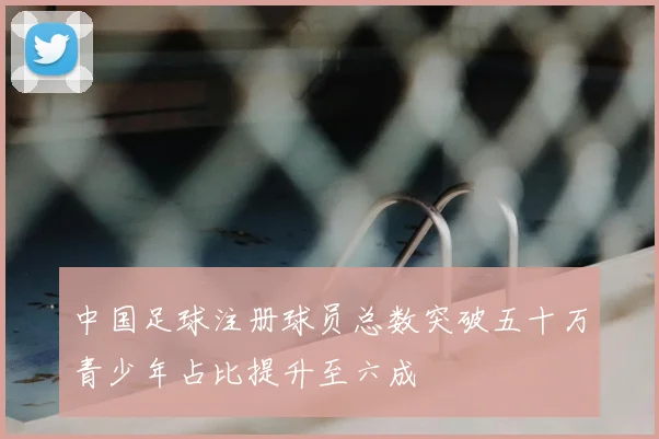 中国足球注册球员总数突破五十万青少年占比提升至六成