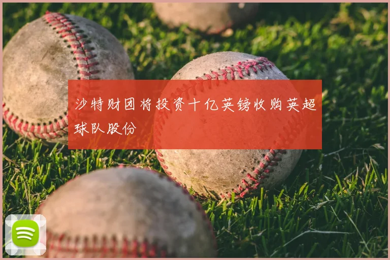 沙特财团将投资十亿英镑收购英超球队股份