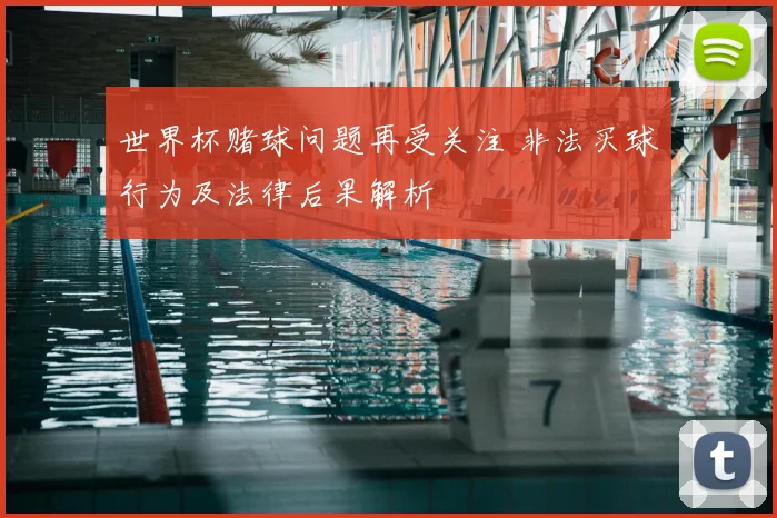 世界杯赌球问题再受关注 非法买球行为及法律后果解析