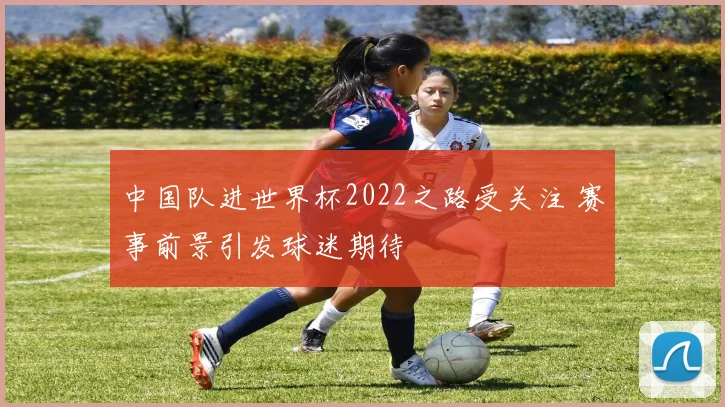 中国队进世界杯2022之路受关注 赛事前景引发球迷期待