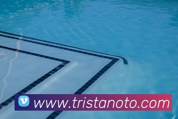 k1体育app官网登录品牌故事