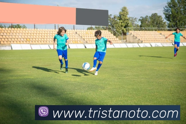 k1体育app官网登录服务体系