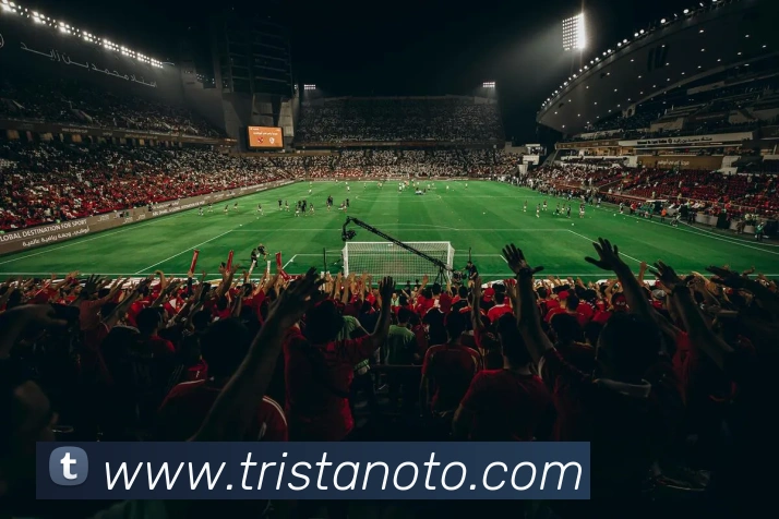 多媒体互动体验